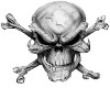 Snow's Skull
