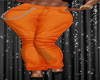 (MSC) Orange pants