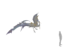 Heron Bird Creature