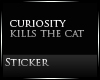 Curiosity Kills The Cat