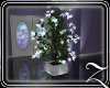 ~Z~Christmas Small Plant