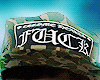 🧢. CH CAMO