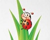 ladybug nursery