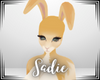 sadie ✿ floppy ears