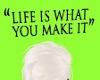 FE lifeiswhatyoumakeit