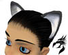 Dark grey animal ears
