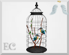 EC| Bird Cage