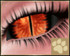 ~AM~ Lahar Eyes v1