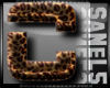 Leopard Letter C