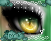 Salie - Eyes V2