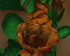 [AG] Grotto: Flowers