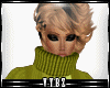 T*Wool|Green|Sweater|