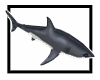 [HCP] Animated Shark