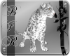 [BIR]Leopard *white