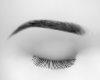 brown eyebrow