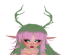 lotus horns green