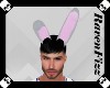 Bugs Bunny Ears (Grey)