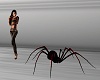 Floor Spider
