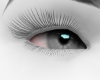 Z. Eyes Gray