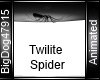 [BD] Twilite Spider