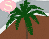 S. Tree 09 Palm