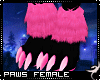 !F:Xylia: Paws Female