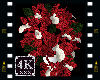4K Red and White Flowers