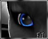 Blue Unisex Eyes [FT]