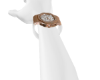 AP Watch F-R