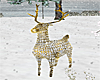 ~PS~ Lake Christmas Deer