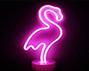 Lighted duck