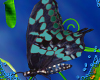 }T{Green Butterfly