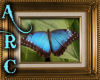 ARC Butterfly Pic 2