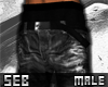 S' JJ Ripped Skinnies v2