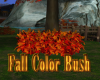 Fall Color Bush