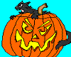 Animated Cat/Pumpkin