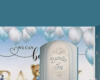 Boys Baby Shower Room