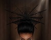 Spider Crow