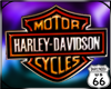 SD Harley Dimensional 