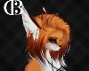 {CB} Fox Buintina