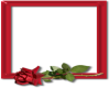 ReD RoSe FRaMe