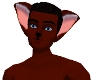 SOLID Red Wolf