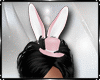 Bunny Full Outfit ! XXL