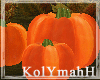 KYH | Autumn pumpkin
