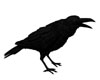 Raven Figure