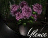 :YL:LuaNa Lilac Roses