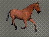 [SH11]Prancing Bay Horse