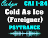 Cold As Ice - Remix