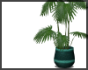 House Plant ~ Teal Pot