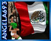 [AA] Flag Poses Mexico
